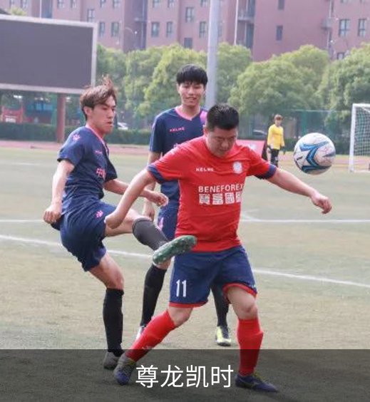 尊龙凯时概况